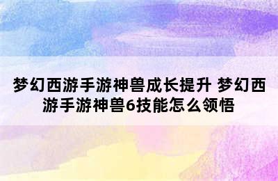 梦幻西游手游神兽成长提升 梦幻西游手游神兽6技能怎么领悟